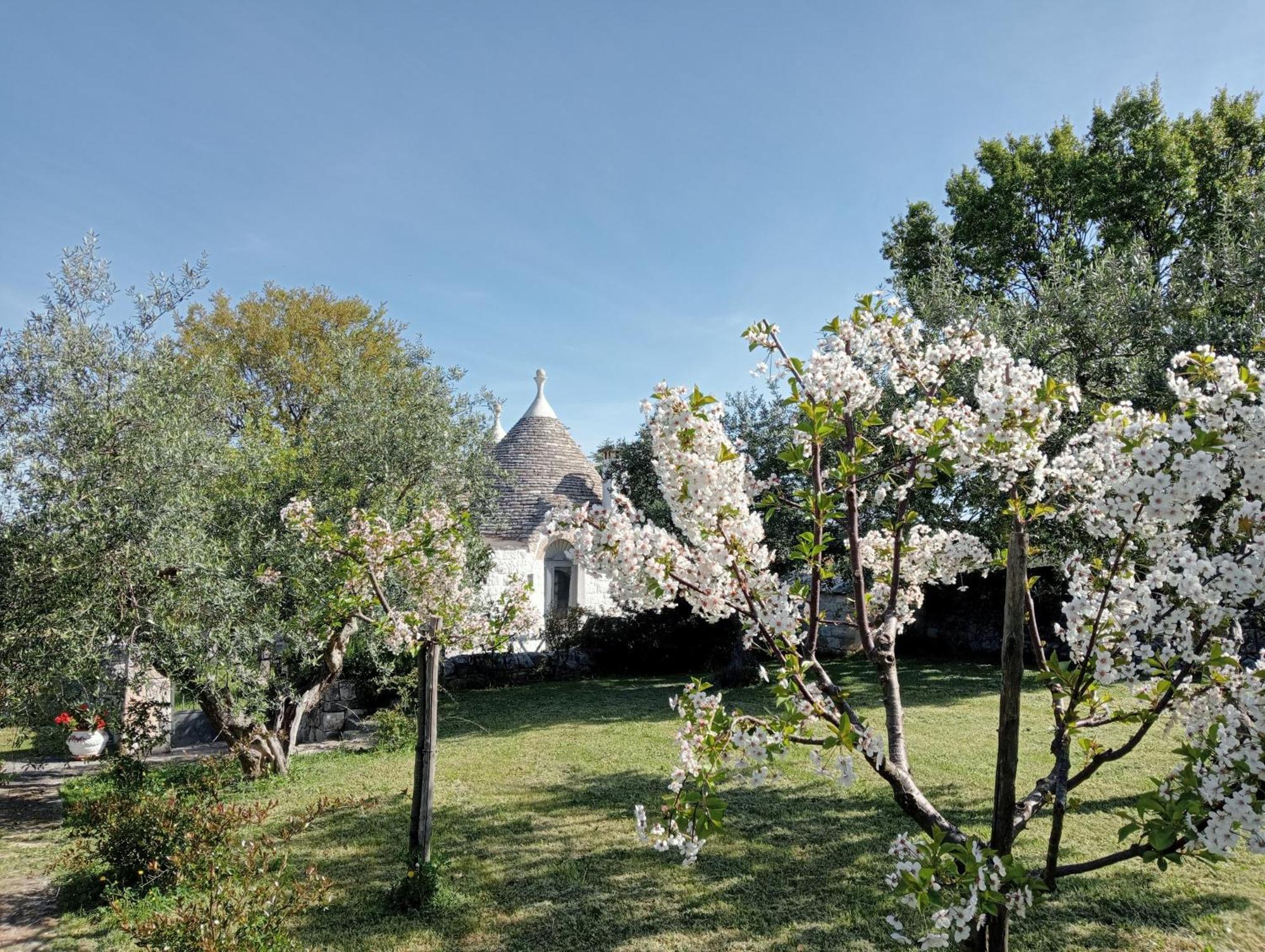 Villa Trulli Manuela à Locorotondo Extérieur photo